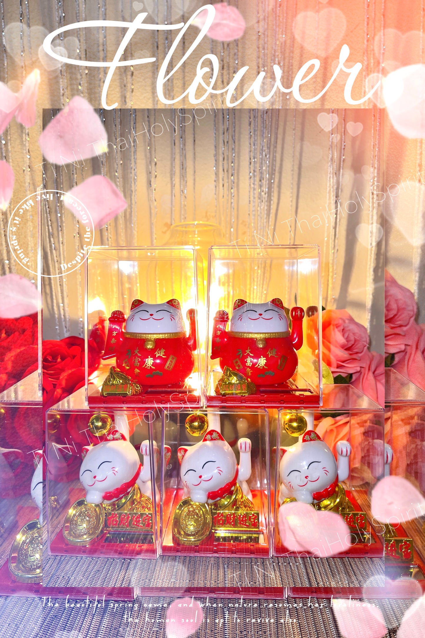 Mèo Thần Tài Mini